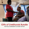 Donate a gifts livelihoods bundle