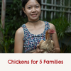 Donate chickens for five families