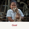 Donate a goat
